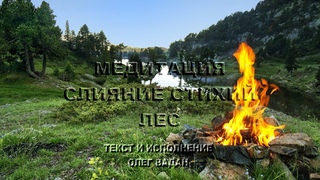 Медитация на слияние стихий. Лес. Самогипноз. Антистресс.