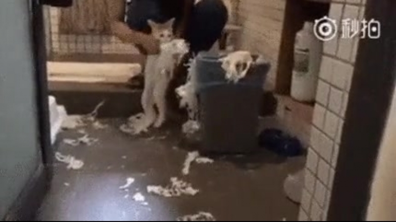 Doc384124492_465524017.mp4