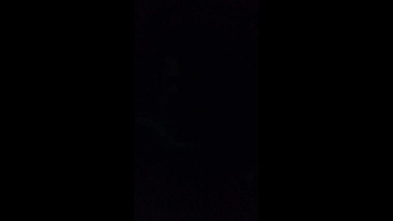 Мария Кравец - Live