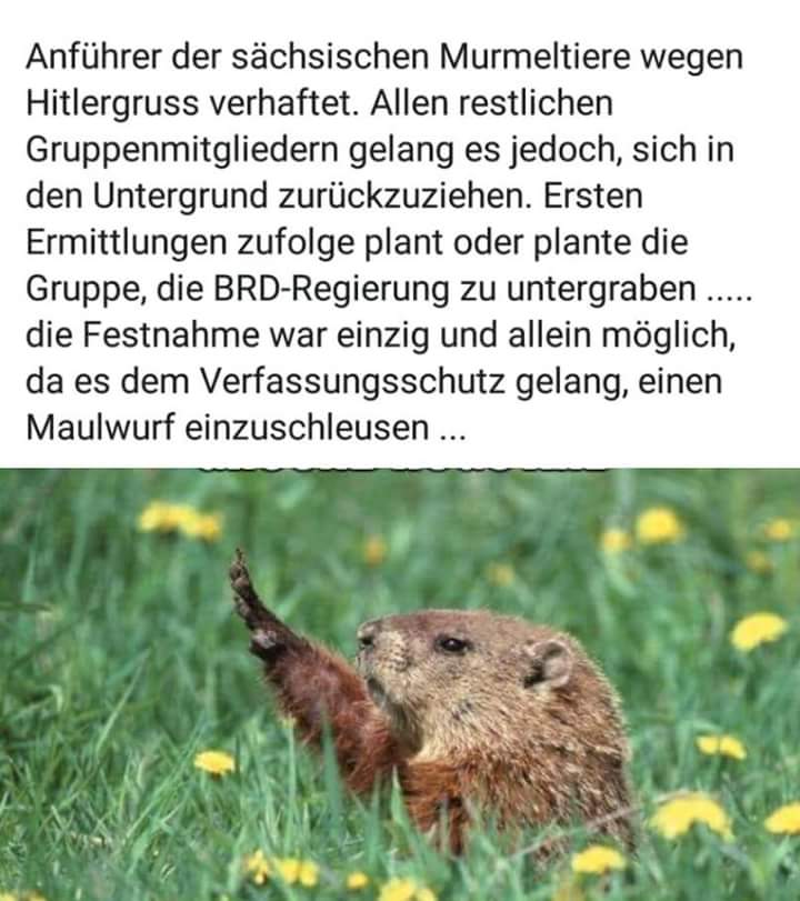 ForumsBlog Und täglich grüßt das Murmeltier.....