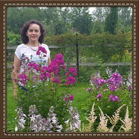 Елена Кошелева | Москва