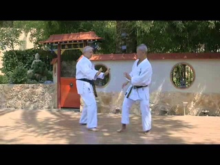 UECHI-RYU KARATE-DO - SHIMABUKURO Yukinobu Sensei (Part 1)