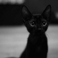 Мария Ria