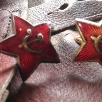 Ольга Казарина