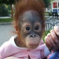 Ольга Пак | Санкт-Петербург