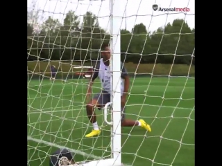 The goalkeeper from Gabon