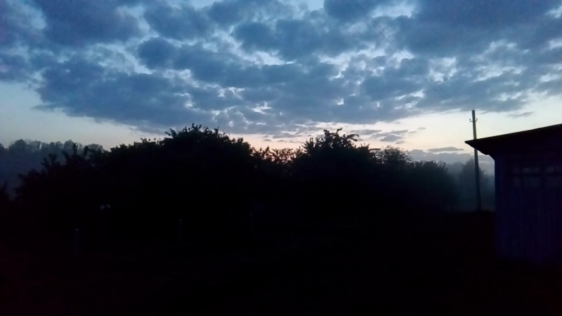 Соловьи в сумерках