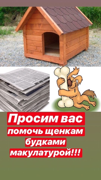 ПРОСИМ ВАС ПОМОЧЬ ЩЕНКАМ БУДКАМИ И МАКУЛАТУРОЙ!!!

ЩЕНКАМ 