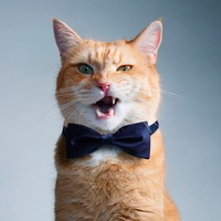 Артём Татулян