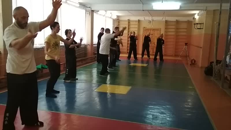VID_20190113_151008.mp4