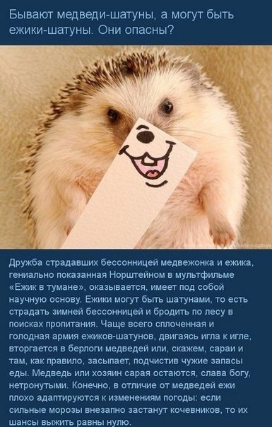 10 умных ответов на 10 глупых вопросов Часто в жизни возникают казалось бы простые, но довольно нелепые вопросы, на которые, ко всему прочему, нелегко найти
