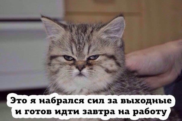 Картинки отдыхай набирайся сил прикольные