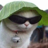 Владимир Суворин | Москва