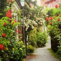 Виктория Уланова | Самара