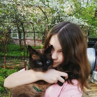 Полина Платонова | Москва