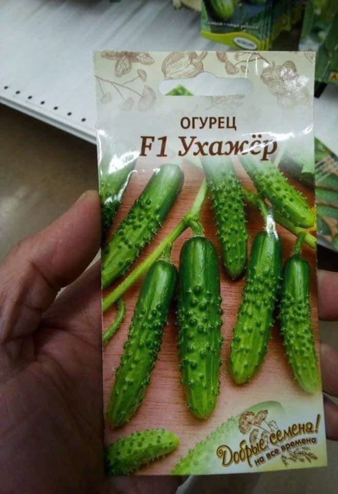 jEDAA0rgodE.jpg
