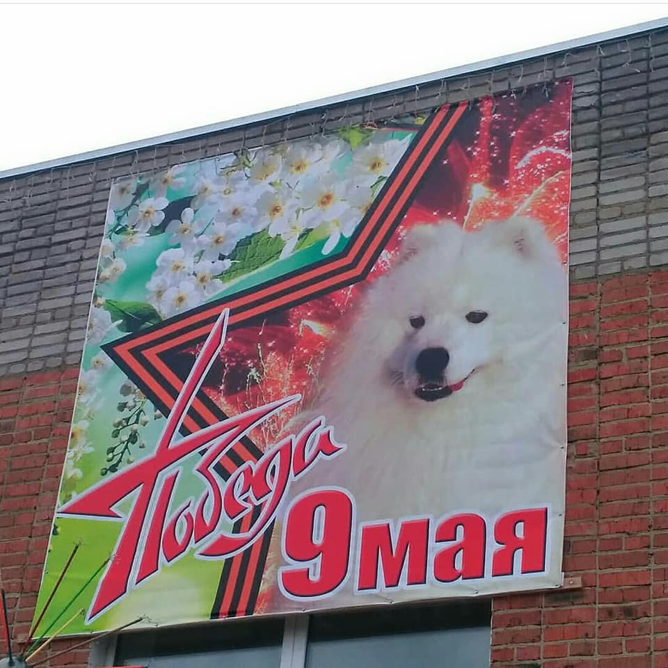 0cqPp7fwIjg.jpg