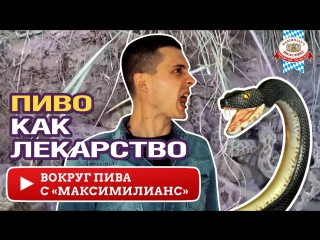 Где на Земле можно лечиться пивом
