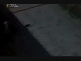 Худшие тюрьмы Америки. Особо строгий режим: Женская Тюрьма.