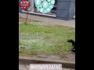 Буйного водителя привязали скотчем