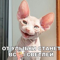 Елена Потапова