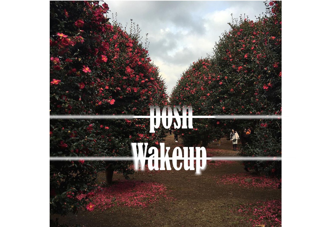 Афиша Ижевск / Posh WakeUp / 19.05