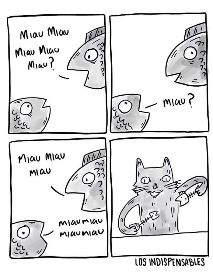 Мяу картинки прикольные