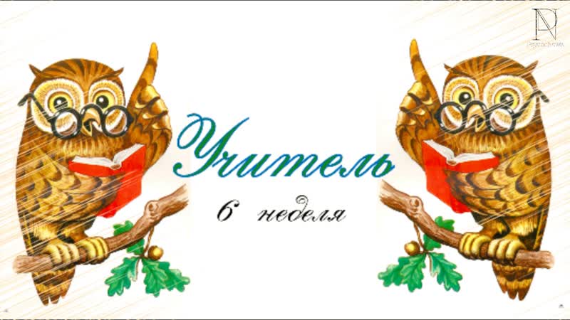 6 неделя, Учитель
