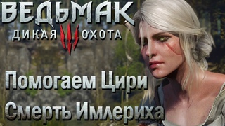 Убиваем Имлериха И Ведьм из Кривоуховых Топей. Ведьмак 3: Дикая Охота