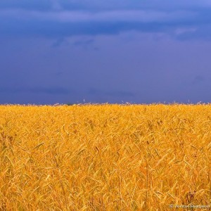 Українська народна пісня