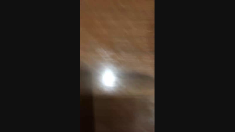 Vlysni plov ebat
