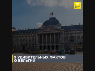 9 удивительных фактов о Бельгии