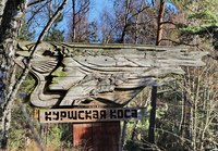  КРО ВОГ организует экскурсию в Национальный парк Куршская Коса. Желающие могут записаться у перевод… 