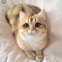 Мария Забелина | 
