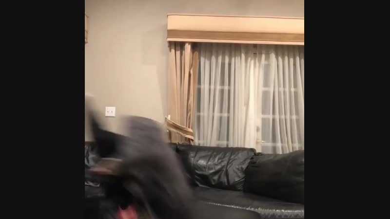 Kid Stupid nigga