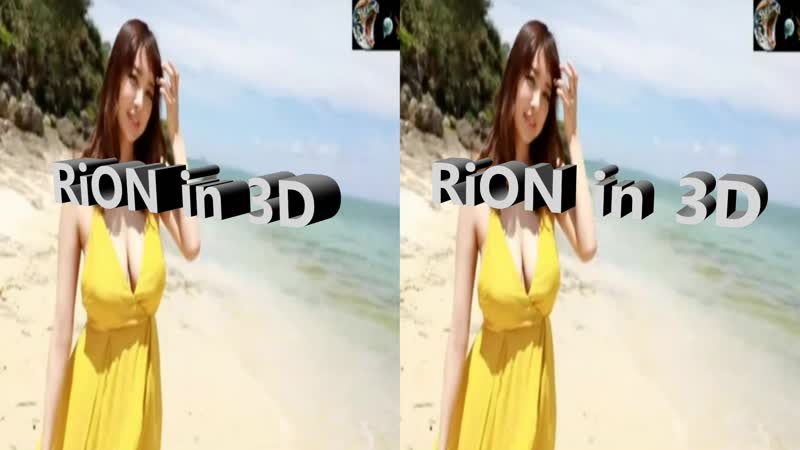 RiON~3D 2018