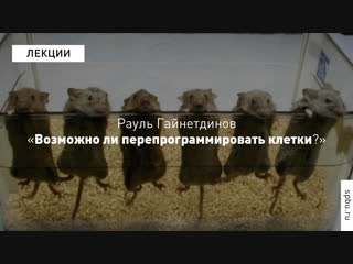 Рауль Гайнетдинов «Возможно ли перепрограммировать клетки?»