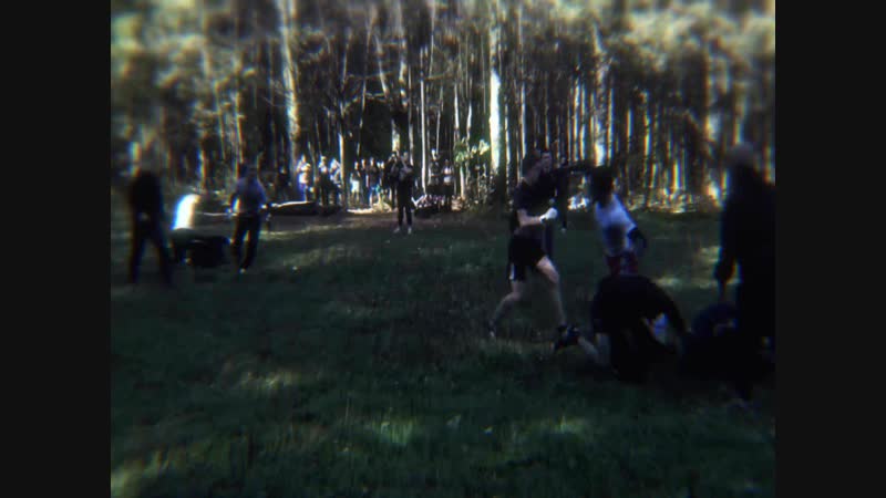 Shevelev prog.
