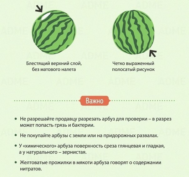 https://pp.userapi.com/c847221/v847221865/b02b6/PVcmTxpfgx0.jpg