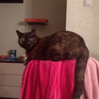 Наталья Горина | Москва