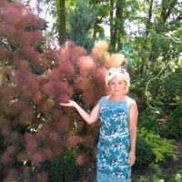 Елена Верещагина | Краснодар