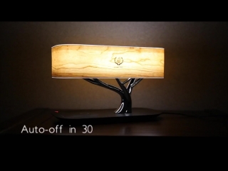 Настольная лампа HomeTree Light Of the Tree (YT-M1602-B2)