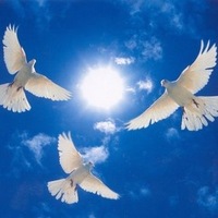 Людмила Успех