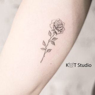 тату салон Kot Studio студия обучения москва вконтакте