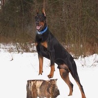 Сергей Иванов