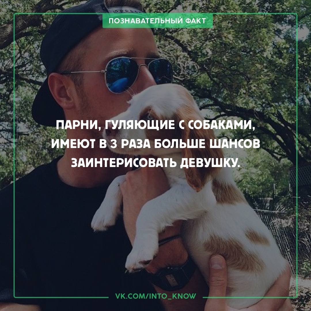 ребята факт. факты о парнях. вопросы парню. факты о парнях. факты о пацанах.