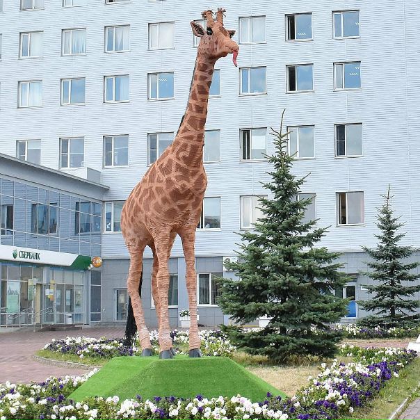Жираф Чебоксары Интернет Магазин Каталог