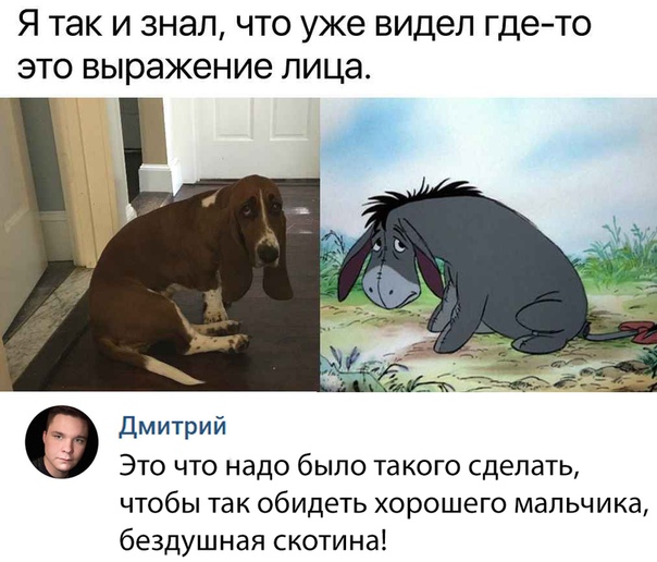 веселые картинки