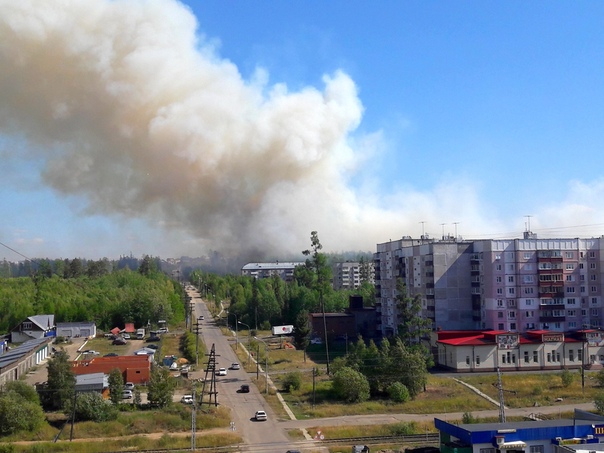 Возгорание зеленых насаждений (11.08.2018)