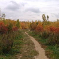 Оксана Хорошилова